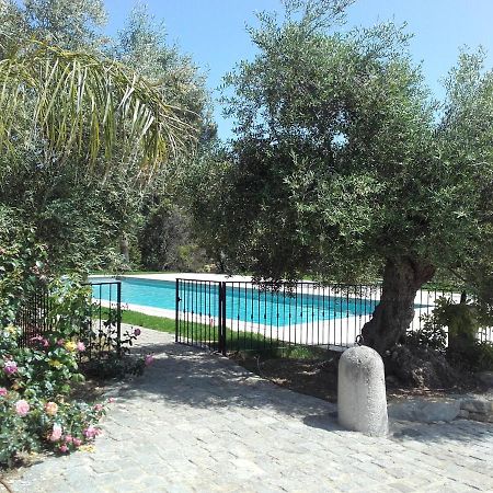 La Bastide De L'Oliveraie Le Castellet  Eksteriør bilde