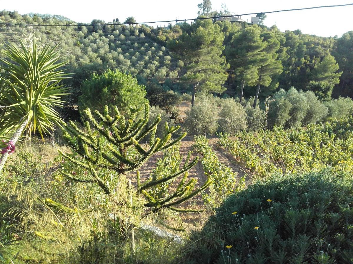 La Bastide De L'Oliveraie Le Castellet  Eksteriør bilde