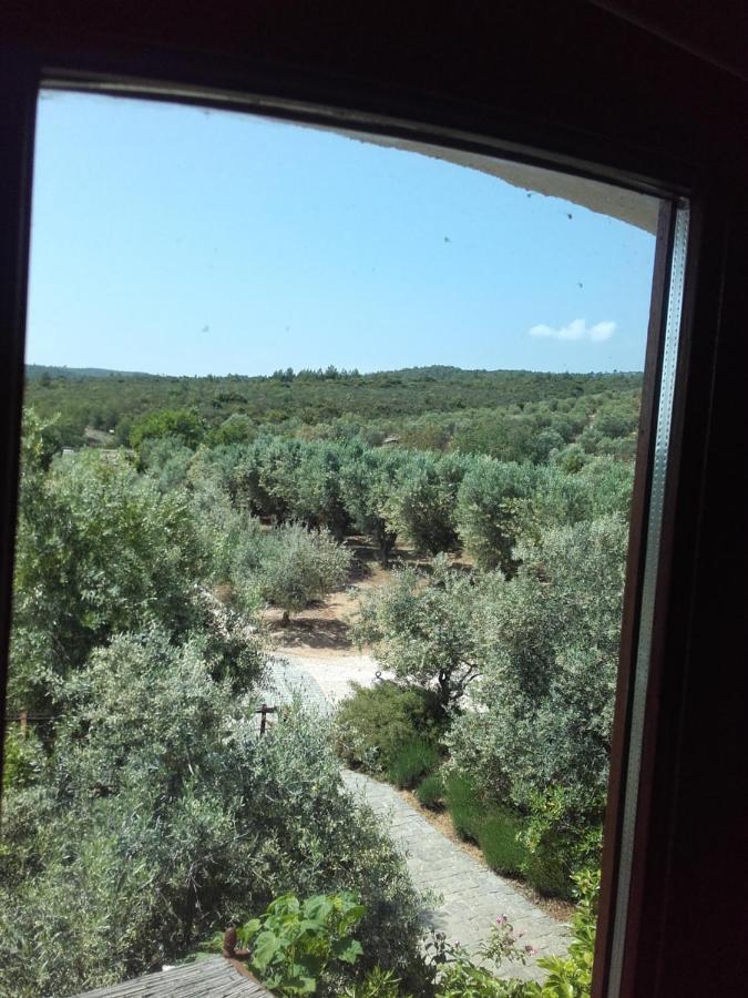 La Bastide De L'Oliveraie Le Castellet  Eksteriør bilde