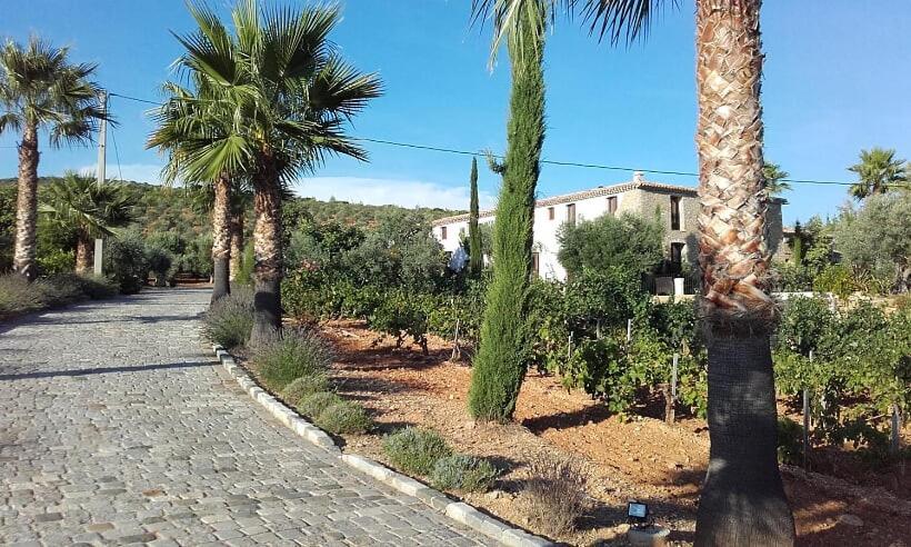 La Bastide De L'Oliveraie Le Castellet  Eksteriør bilde